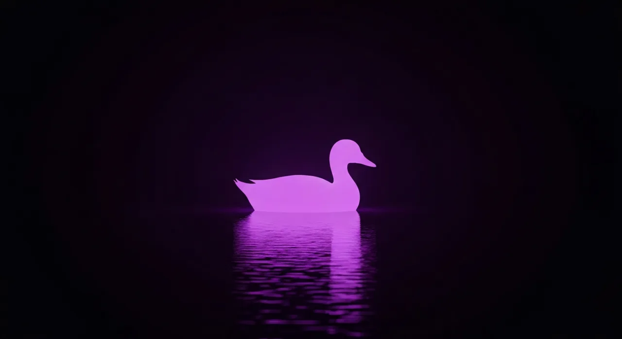 DuckDuckGo - co to jest i jak działa?